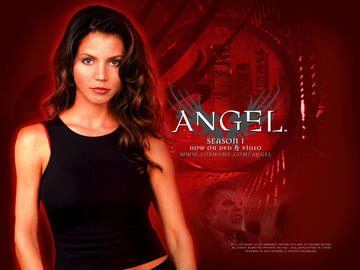 031.jpg